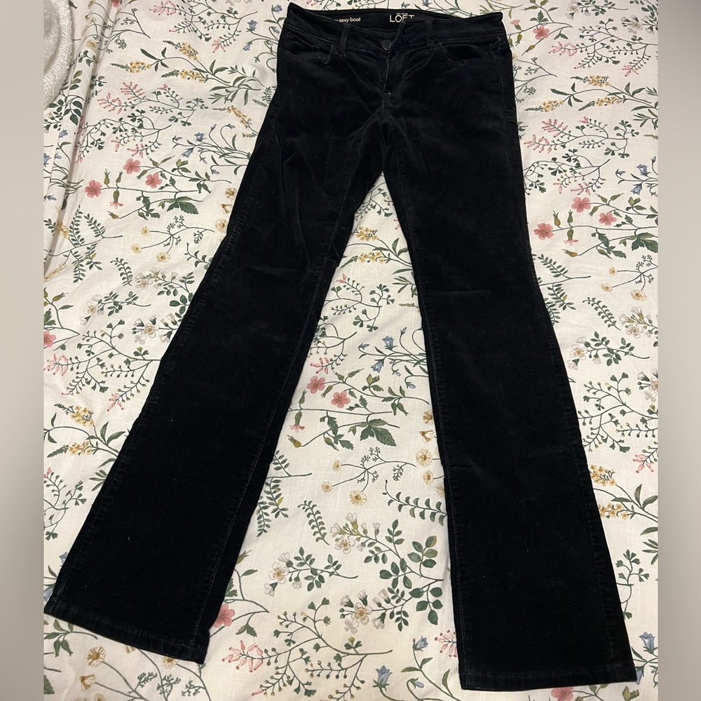 women’s pants
